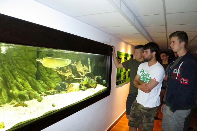 Rybářská škola ukáže akvária i muzeum