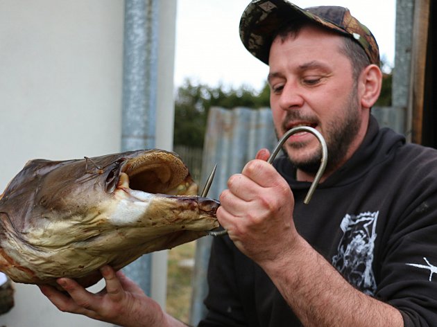 Ryby z Itálie skončily v udírně ve Studnicích