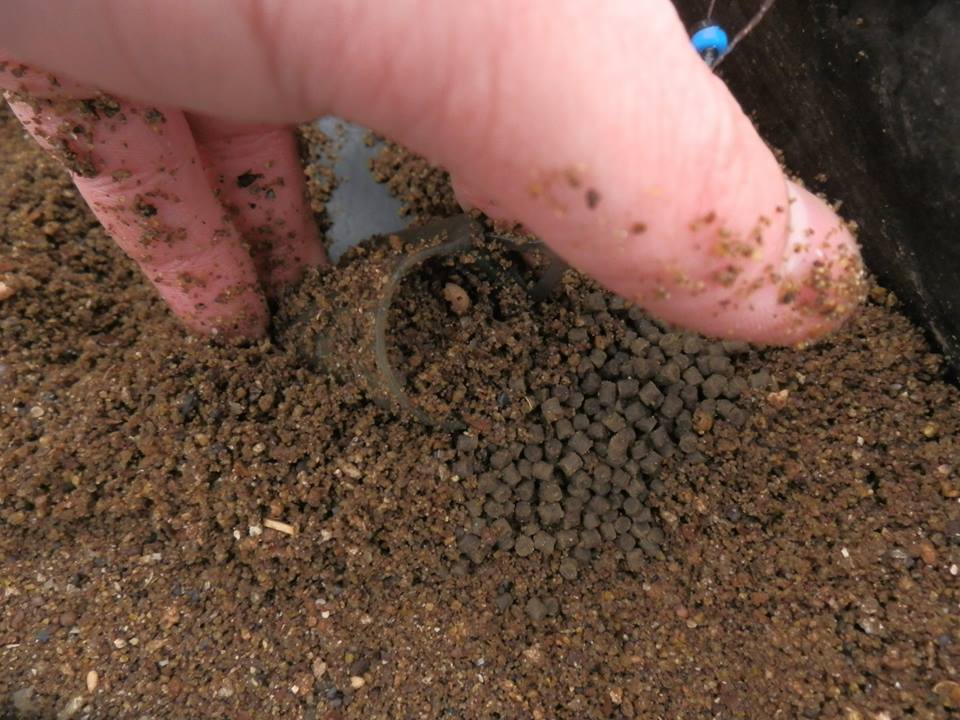 Jarní method feeder s peletkami