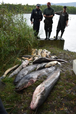 Dočasný zákaz lovu ryb na MP rybářském revíru 441 005 – Bílina 6, podrevír č. 9/II., nádrž Farského (9,2 ha)