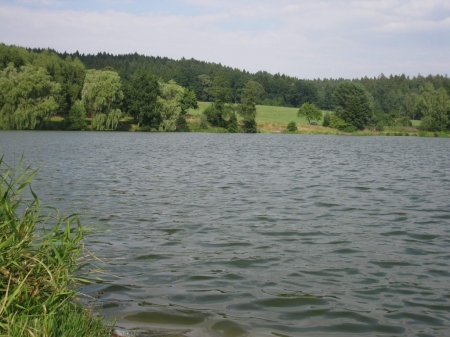 Oznámení o dočasném zákazu lovu ryb na MP rybářském revíru 441054 – Rožanský potok 2, nádrž Šluknovská