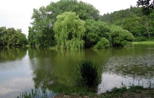 NOVÝ REVÍR: Rybáři na Moravě budou chytat ryby na krásném, novém rybníku! Podívejte se!