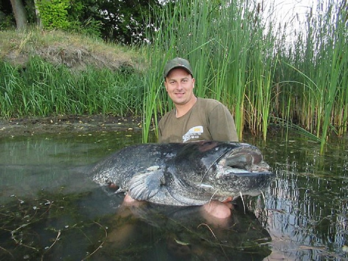Jezero na Moravě vydalo obrovského sumce! Rybář dravce ulovil o půl jedné ráno
