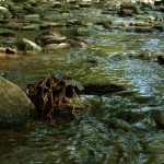 Řeku Labe trápí extrémní sucho! V Ústí nad Labem chybí metr vody na výšku