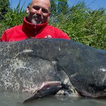 Gigantický sumec! Rybáři ulovili sumce o váze 107 kilo! Neuvěřitelná ryba!