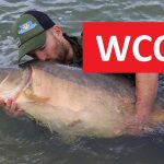 WCC 2019 na Madine: Obrovský kapr o váze 29,8 kilo! Karel Nikl vypadl z TOP 10
