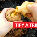 TIPY A TRIKY: Jednoduchá výroba extrémně smradlavého krmení na kapry! Hotovo za pár minut