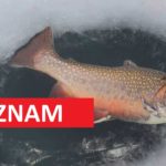 Rybaření na dírkách 2021: Seznam lokalit, kde si zachytáte pod ledem! Zimní rybaření startuje!