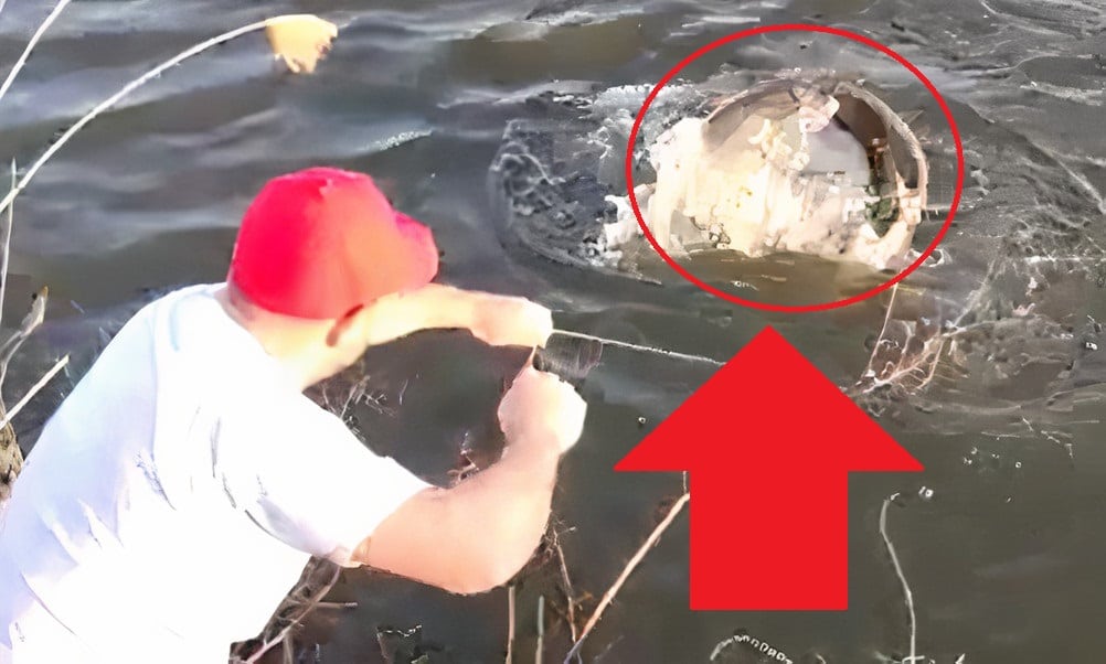VIDEO: Pytlák na Labi uvázal velkého sumce u břehu! Slušný rybář ho pustil