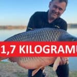 Gigantický kapr z Česka: Váha ryby neskutečných 31,7 kilogramů! TOP úlovek letošního jara!