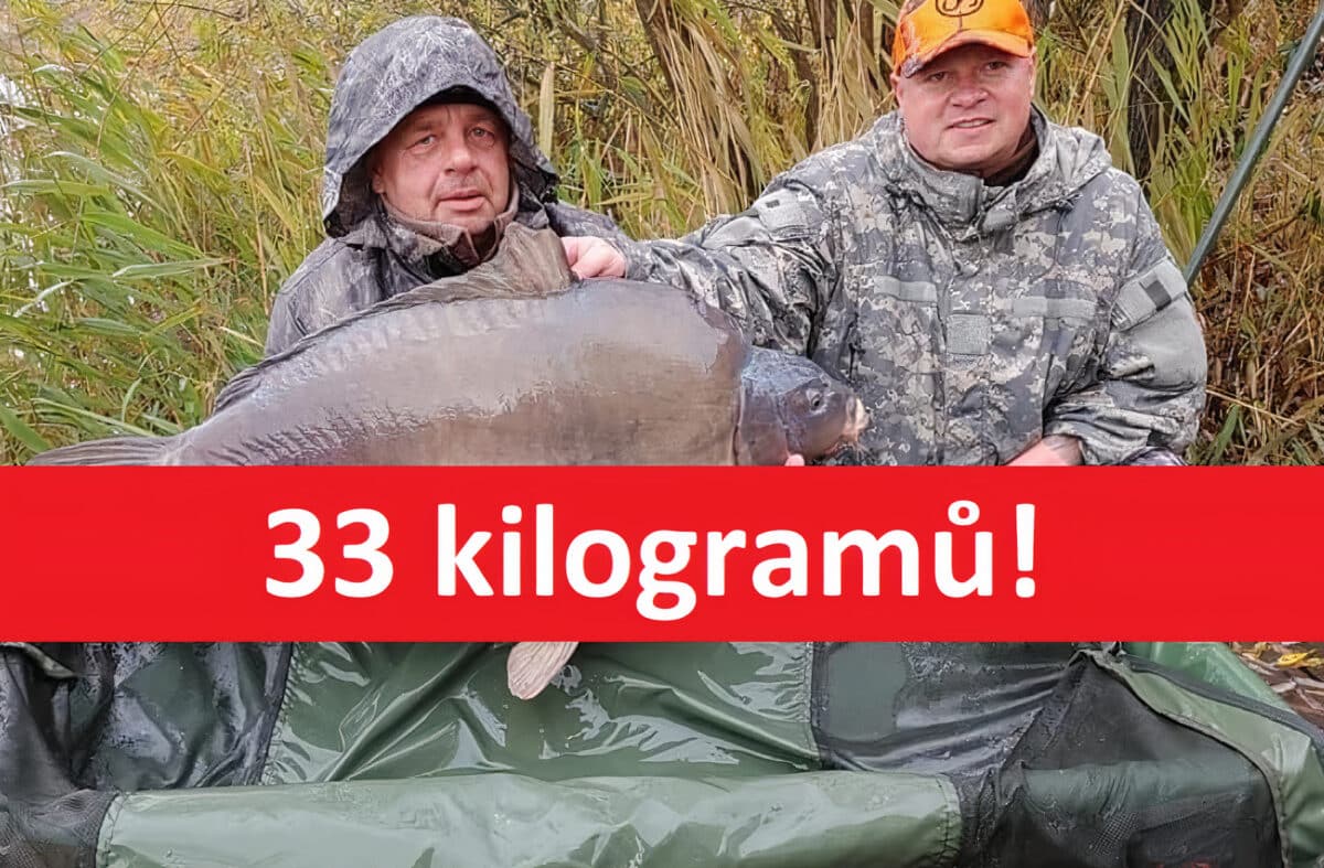 Monstrózní lysec o váze 33 kilo z české vody! Kde byl tento gigant uloven?