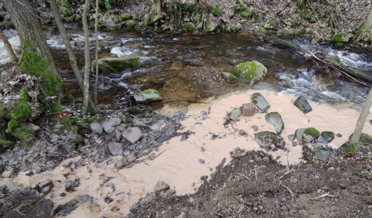 Do chovného potoka uniká „závadná“ voda, která ohrožuje pstruhy