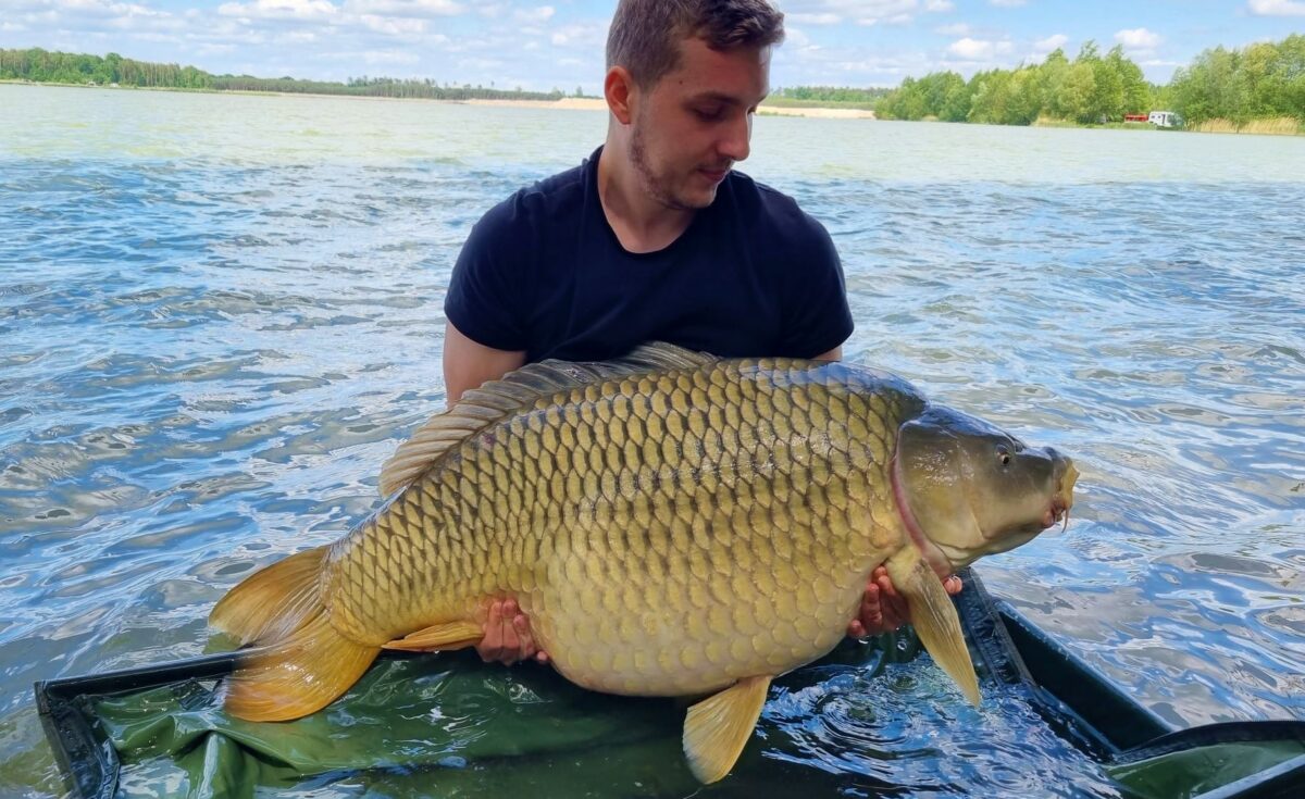 Rekord českého jezera pokořen: Rybář chytil velkého kapra o váze 32,35 kilogramů