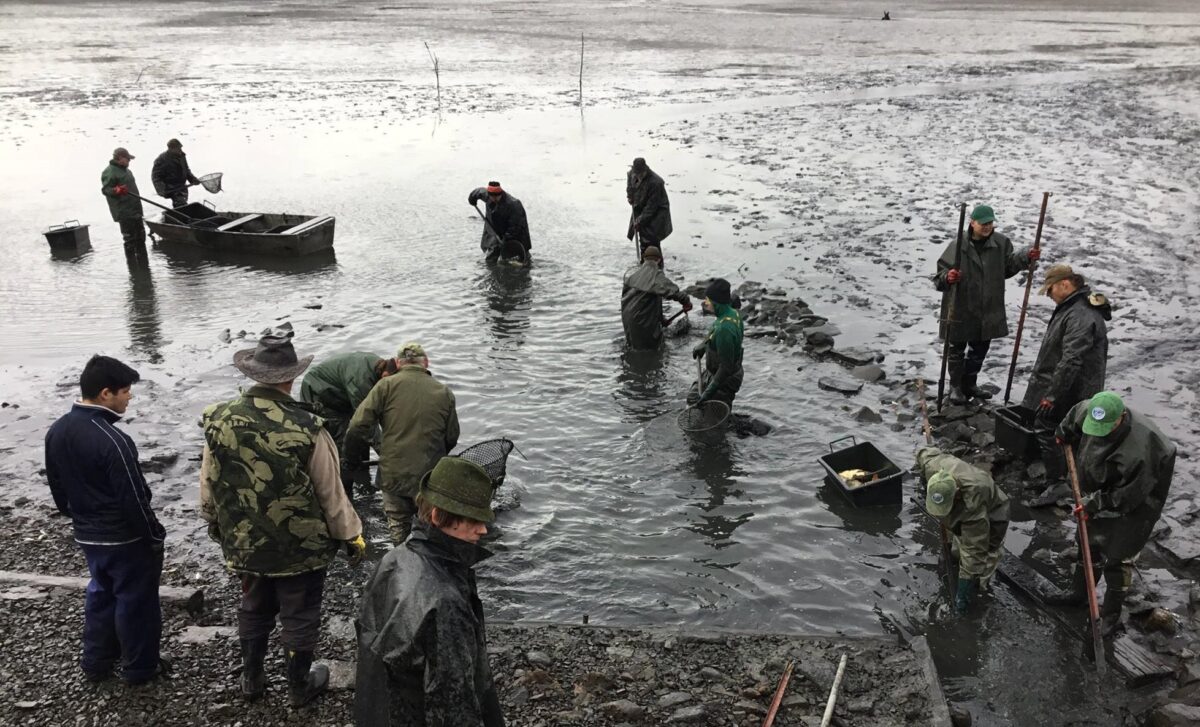 Výlov svazové vody po 36 letech: Rybáři se připravují na těžký výlov nádrže