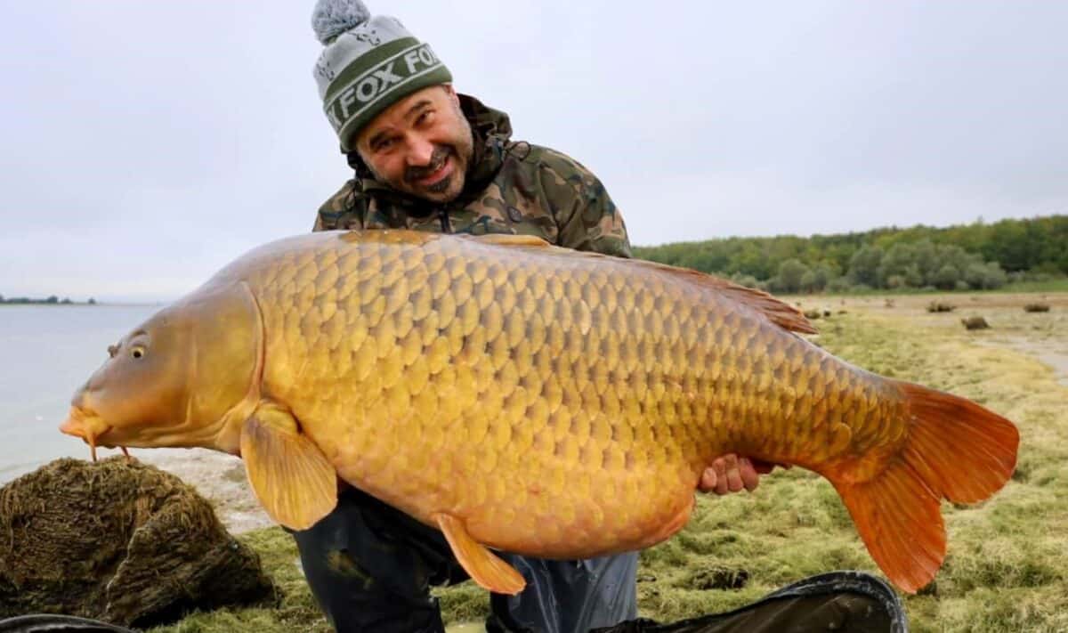 Giga kapr o váze skoro 40 kilogramů: Slovenský rybář chytil životní rybu