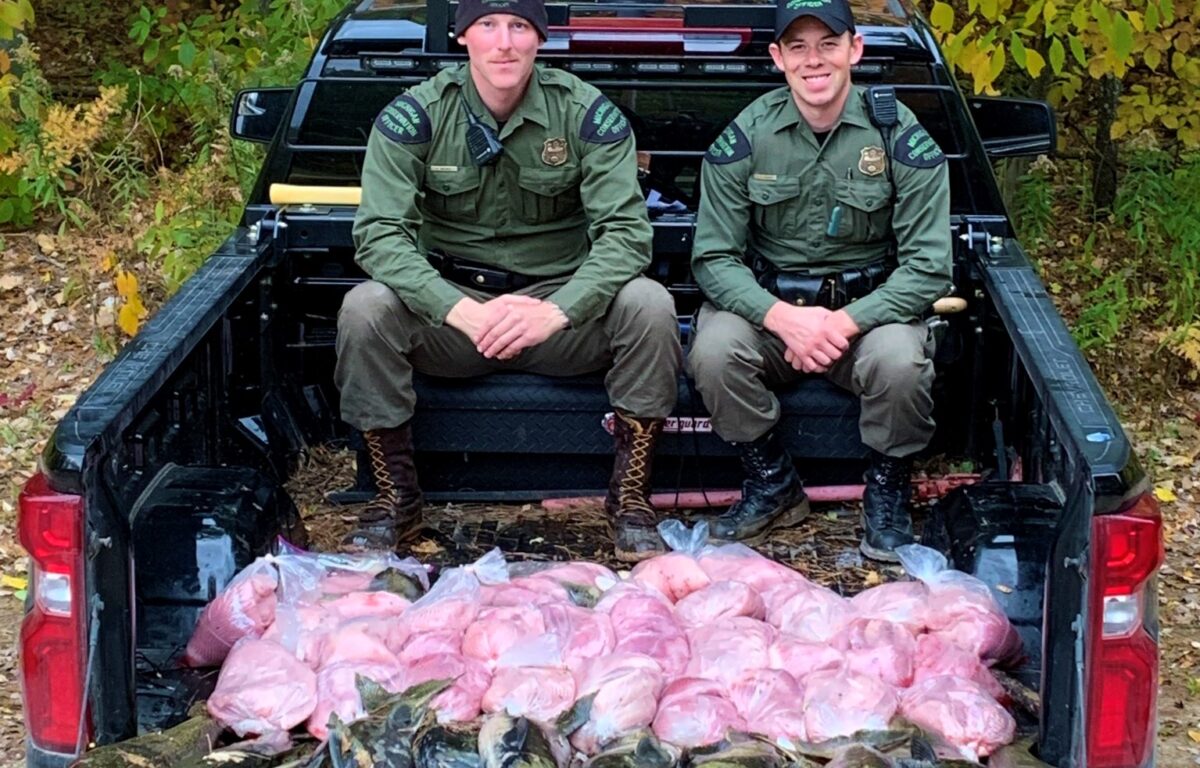 Pytláci zmasakrovali desítky lososů. Hrozí jim pokuta až 115 000 korun