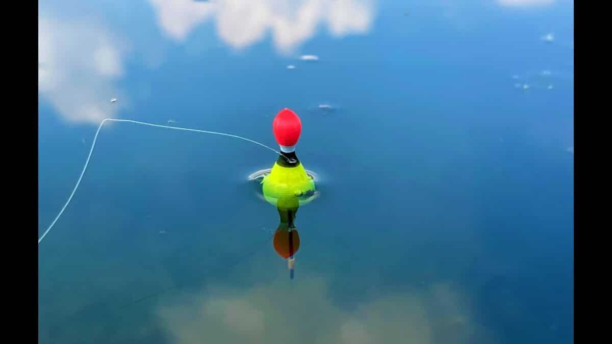 Jednoduché rybaření na splávek s bičem: Zábavná plavaná, která nikdy nenudí