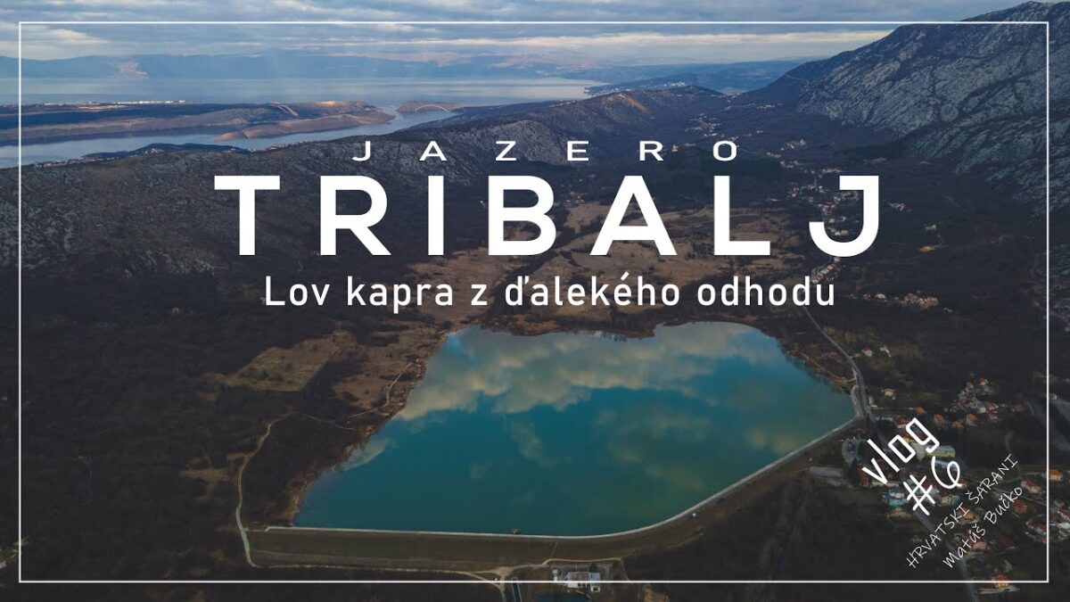 Lov kapra v Chorvatsku: kaprařina z odhozu na legendárním jezeře Tribalj