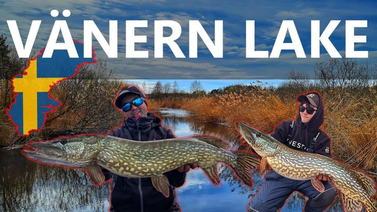 Rybaření ve Švédsku: jak rybařit ve Švédsku? Tady jsou tipy a triky