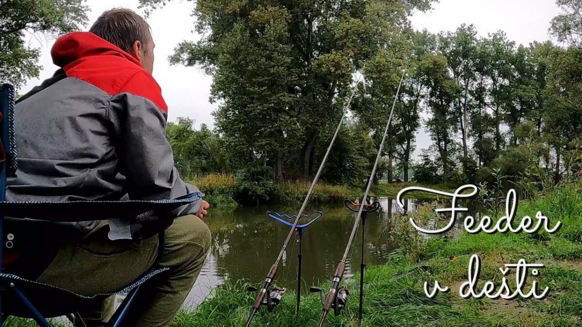Pohodové rybaření na feeder: úspěšné rybaření na feeder na řece v dešti