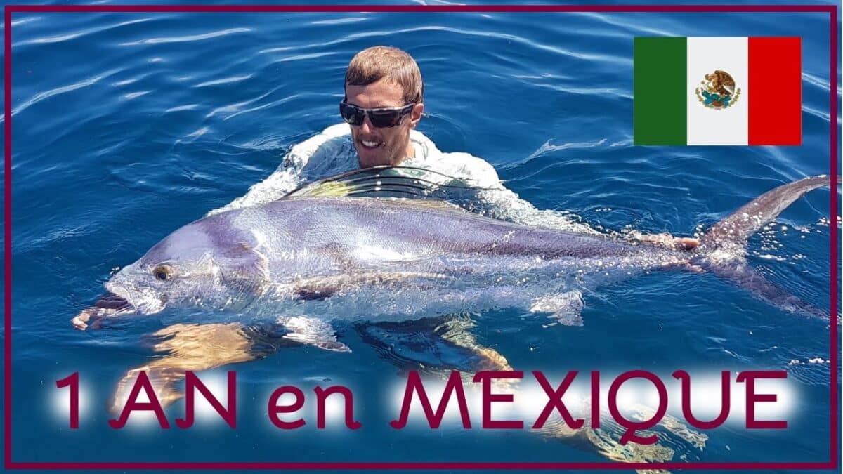 Rybaření v Mexiku: jak chytat ryby v rybářském ráji? Tady je ukázka