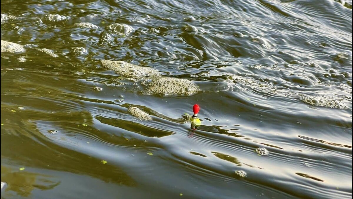 Splávek na řece: jednoduchá plavaná v proudu je krásné rybaření plné zábavy