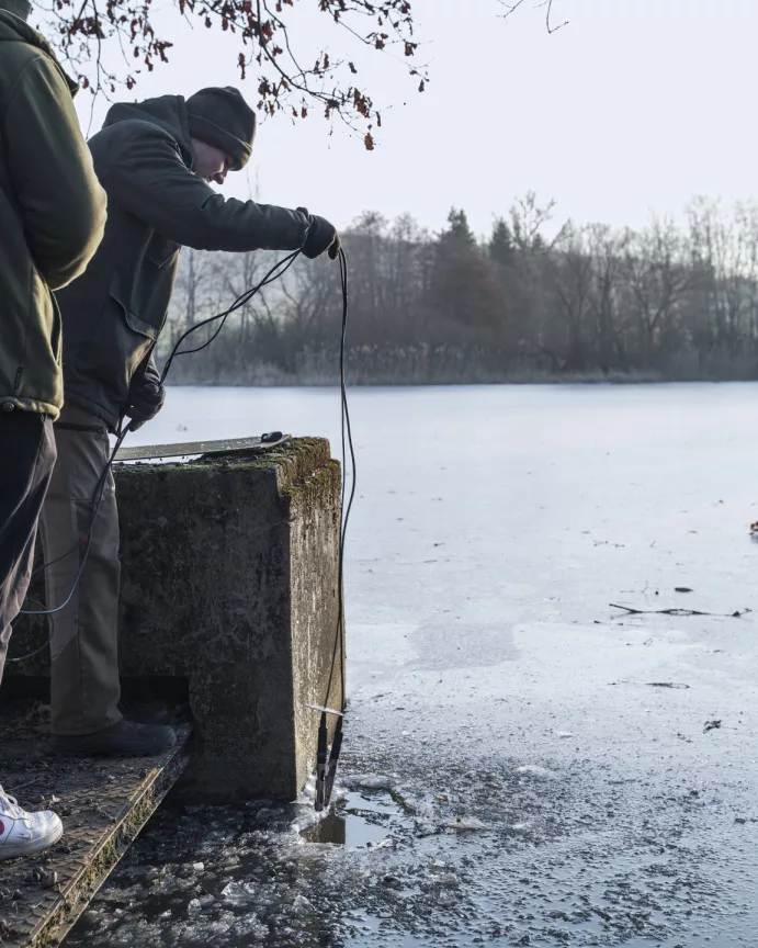 Učíme se ve Vodňanech: Péče o komorové rybníky a rizika komorování ryb
