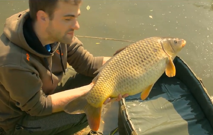Video: Jarný lov kapra na rieke