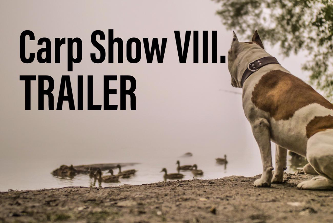 Video: CARP SHOW VIII. Trailer