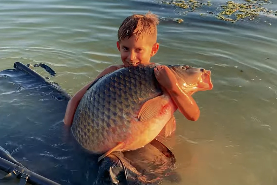 Video: Monstra z řeky Dunaj 7x20kg+ (1. díl)