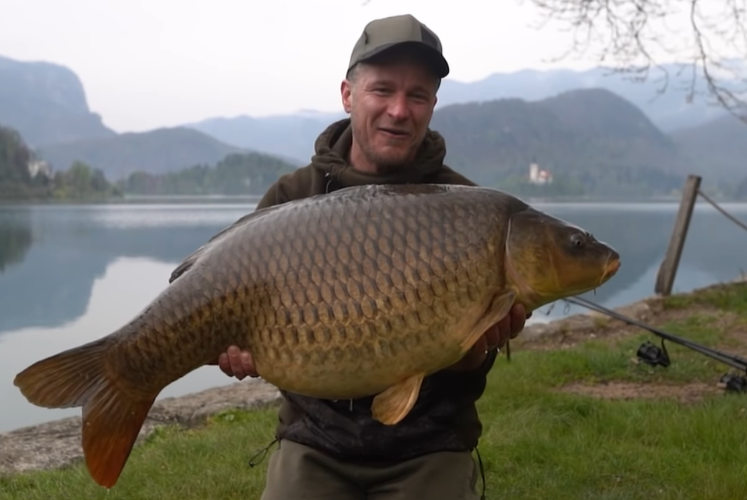 Video: Lov kaprů na jezeře Bled