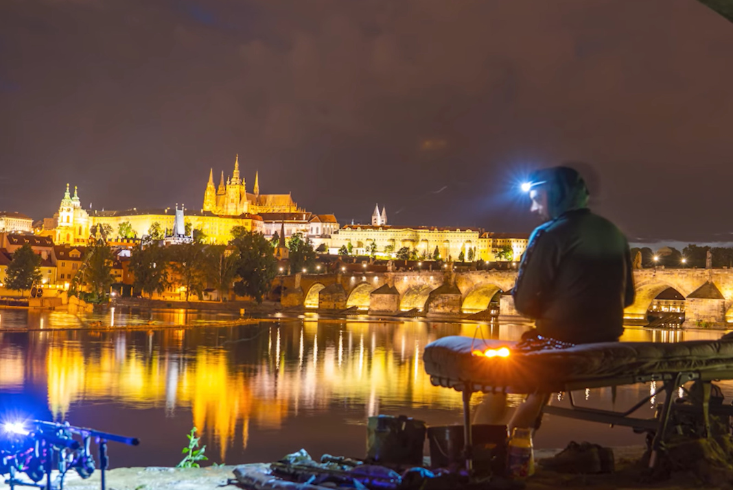 Video: Lov kaprů v centru Prahy