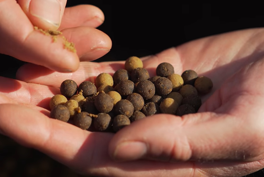 Video: Jak zvýšit efektivitu boilies a pelet pro jarní lov kaprů