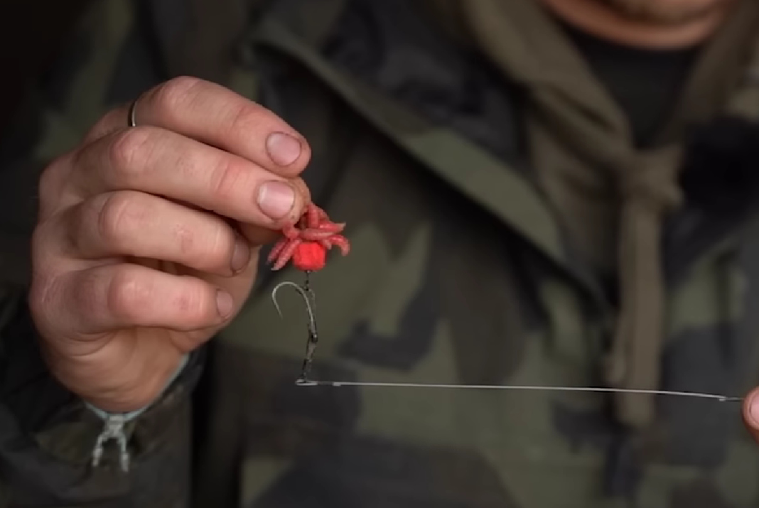 Video: Červi – nepřekonatelná zimní zbraň na kapry