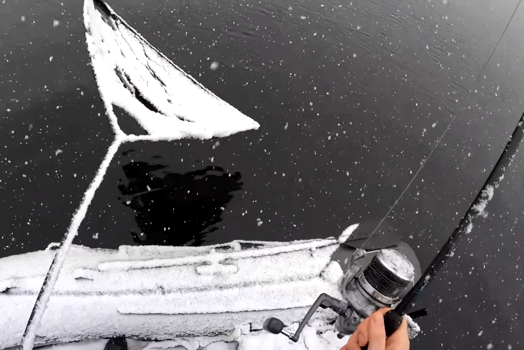 Video: Orlík – kapři na sněhu