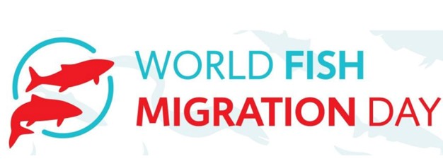 Pozvánka na světový den migrace ryb ve Stromovce