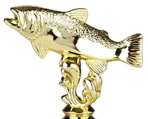 Tipy na rybářské trofeje a ocenění pro závody