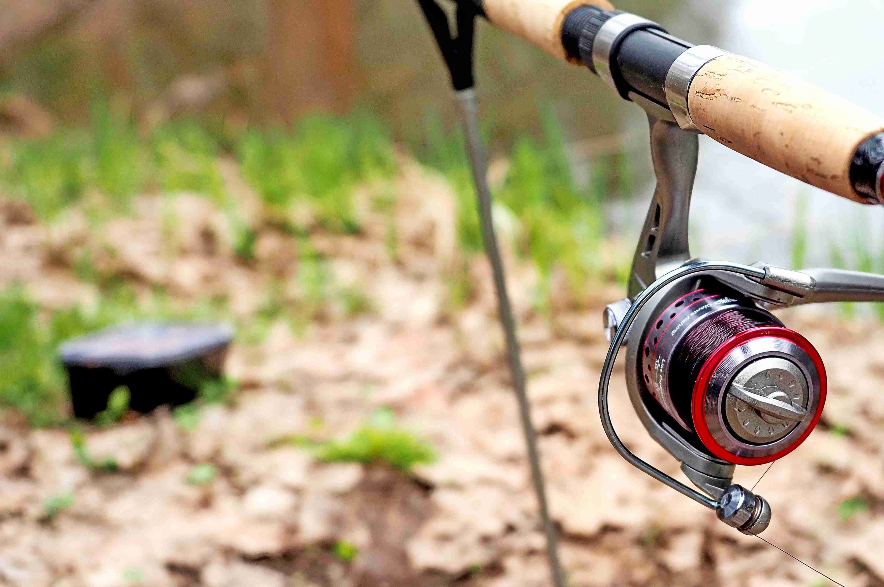 Základní rybářské vybavení: co určitě potřebujete jako začátečník v rybaření