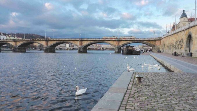 Se starou povolenkou k vodě: V Praze a na Západě Čech s ní můžete chytat ještě pár dní