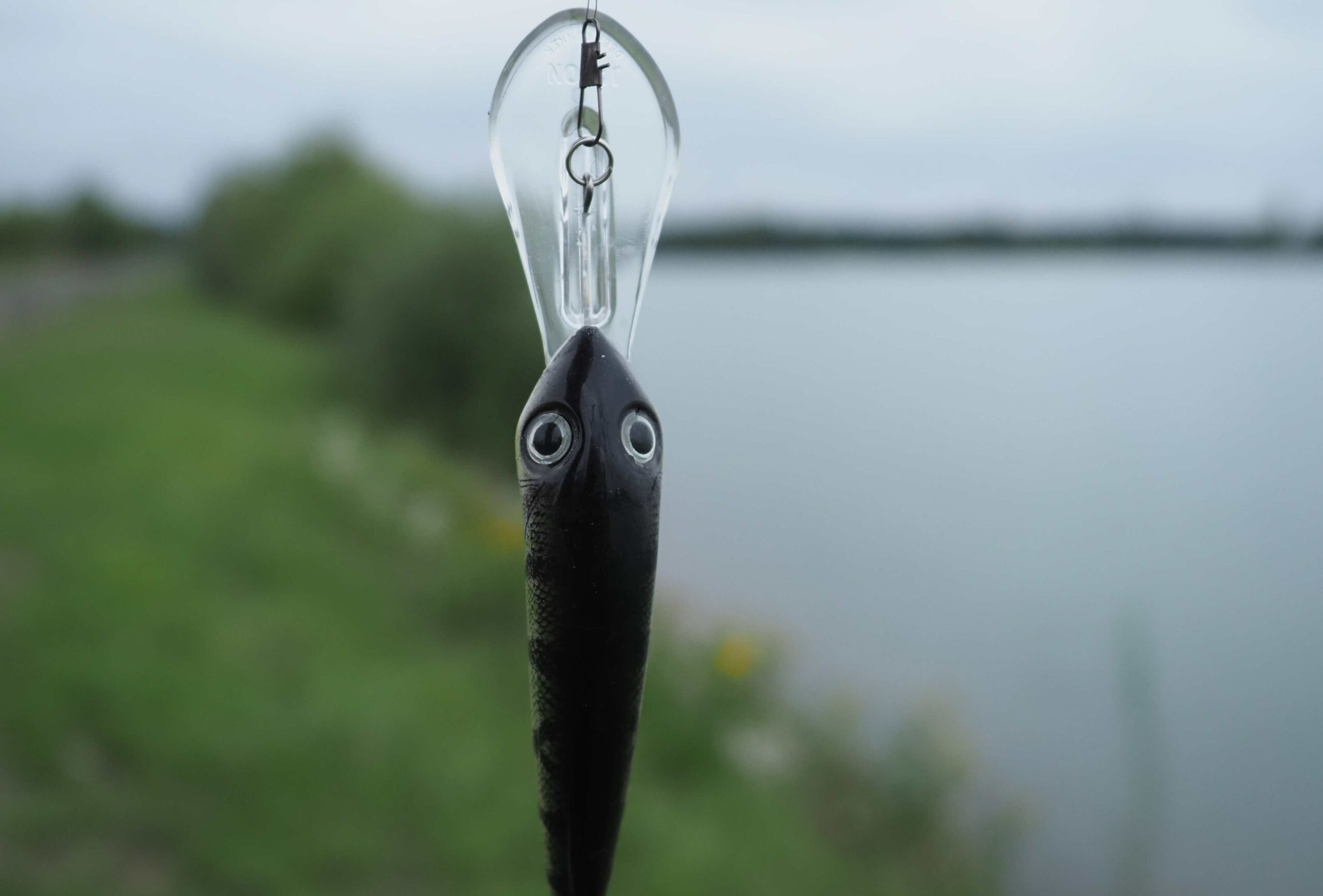 8 štik od 50 do 90 cm: rybář natočil video z pražského štičího ráje