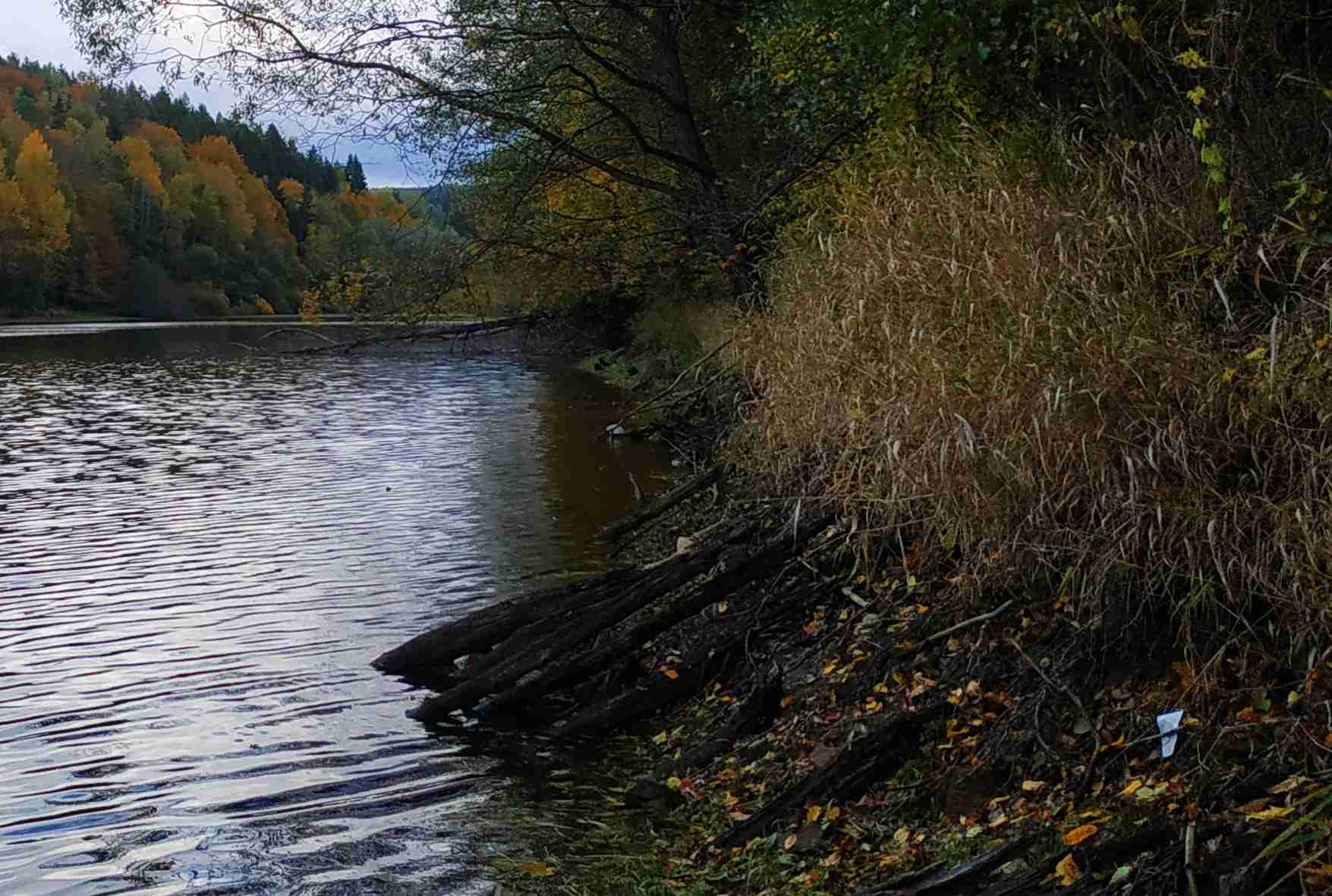 Okamžitý zákaz rybolovu na přehradě Harcov: nádrž se vypouští na tři roky