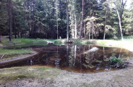 Lesy ČR pomáhají zadržet vodu v krajině. Staví desítky rybníčků, mokřadů a tůní
