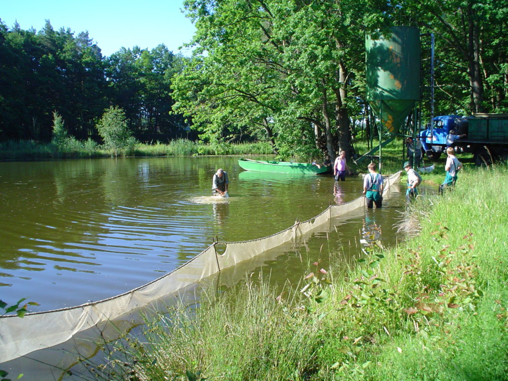 Učíme se v Třeboni: Léto na rybnících