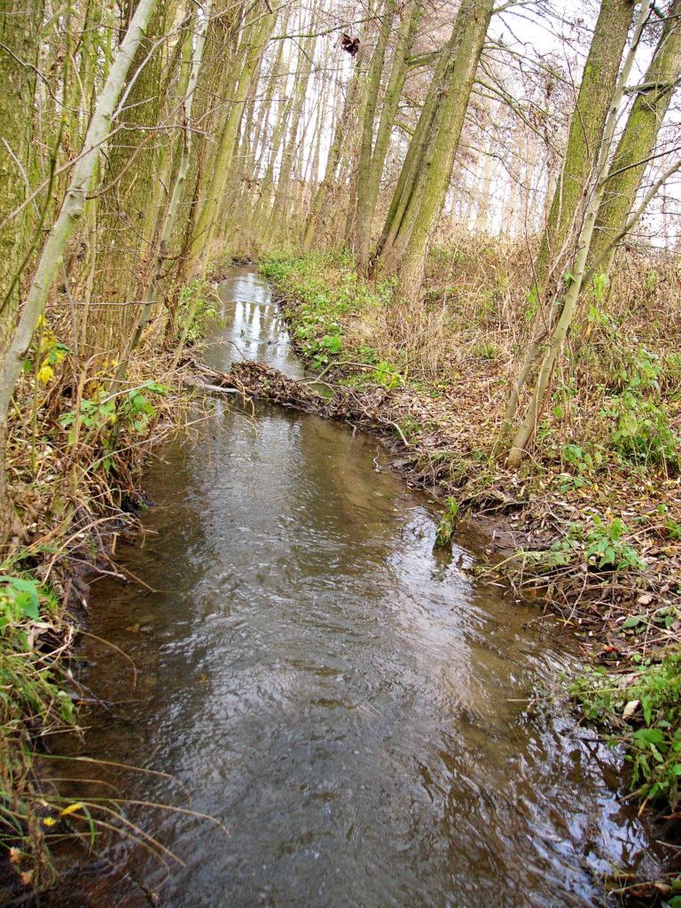 Učíme se ve Vodňanech. Revitalizace malých vodních toků v krajině
