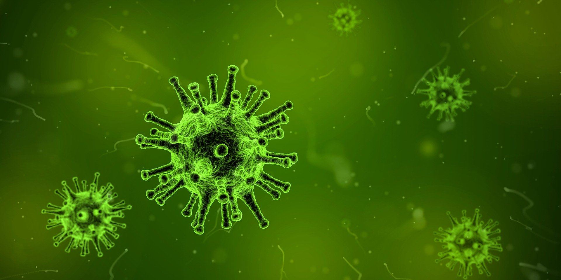 Koronavirus ovlivní  i rybáře. ČRS doporučuje odložit akce místních organizací