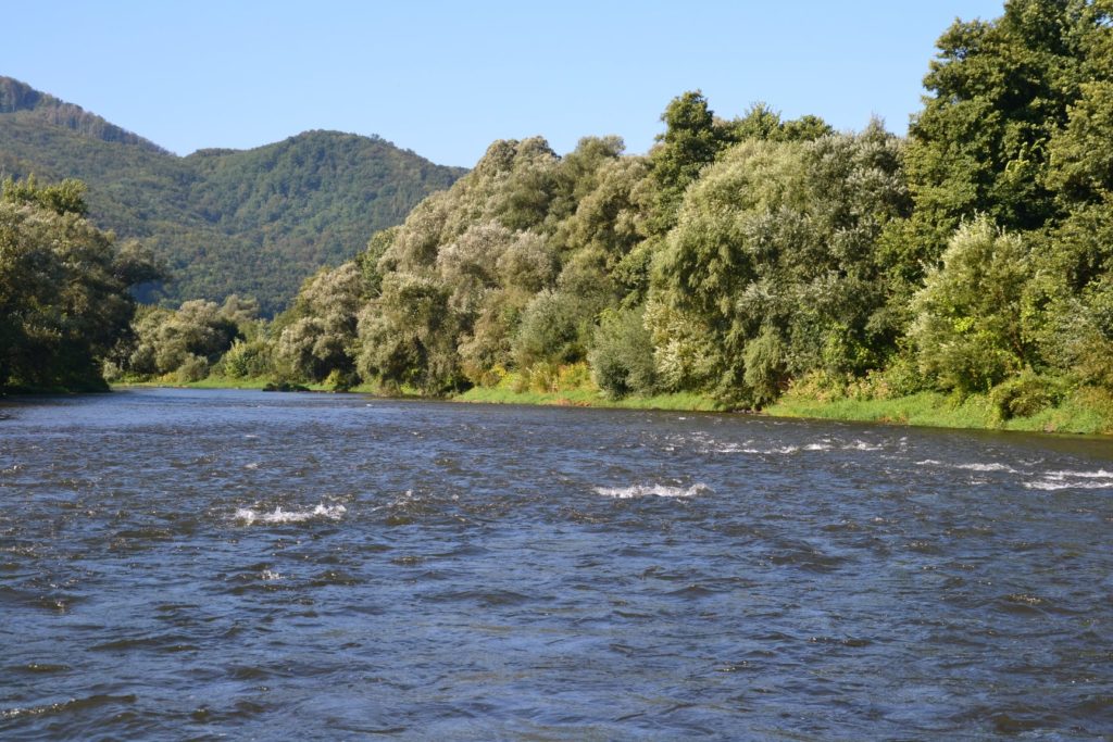Vraťme život řece Hron! Pojďme ji pomoct společně zarybnit, vyzývají slovenští rybáři
