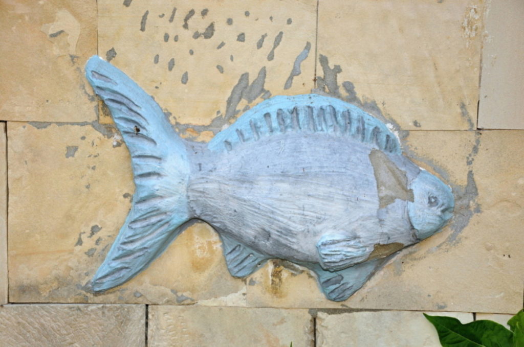 Ryby jako inspirace pro užité umění