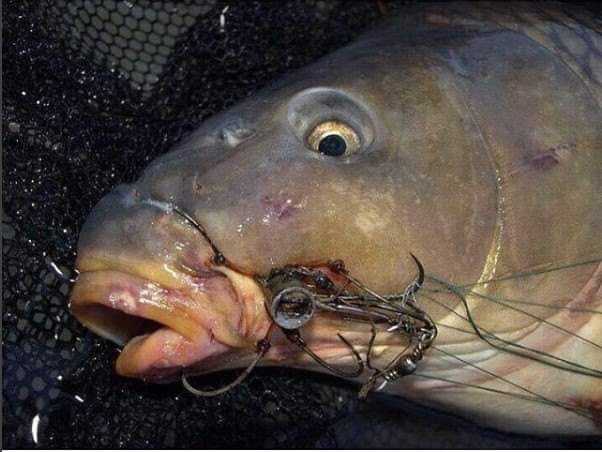 Uklízejte po sobě, prosí rybáři na Facebooku a sdílí hrůzostrašné fotografie