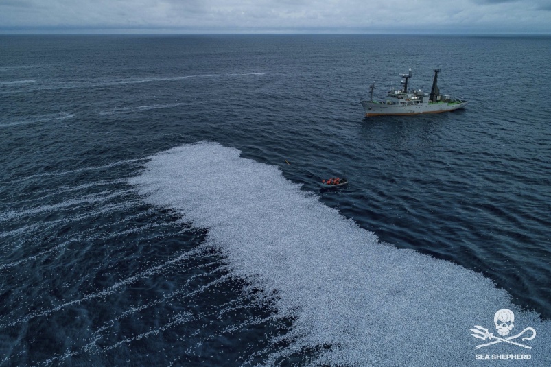 100 000 mrtvých tresek v Biskajském zálivu: Protrhly se nám sítě, hájí se rybáři proti nařčení aktivistů