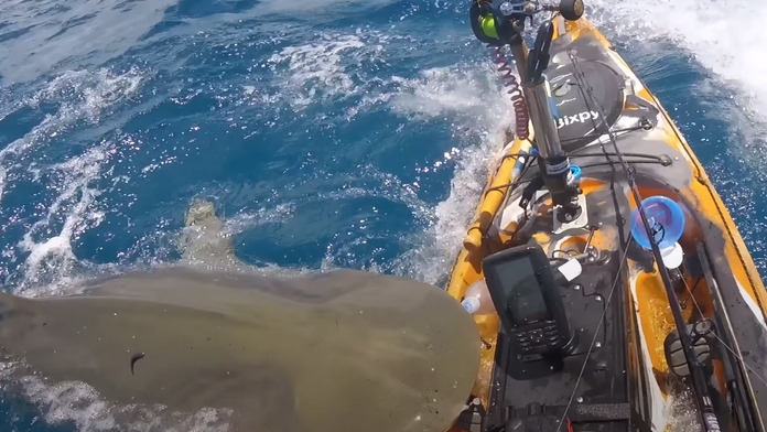VIDEO: Žralok zaútočil na kajak havajského rybáře, vše zachytila GoPro kamera